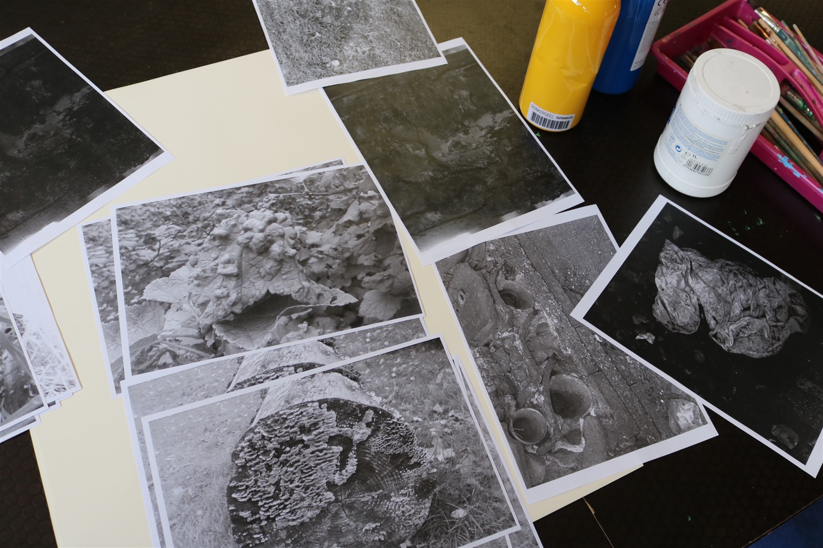 Maremak, oktober 2019, vlekken en barsten, Nina Denaux