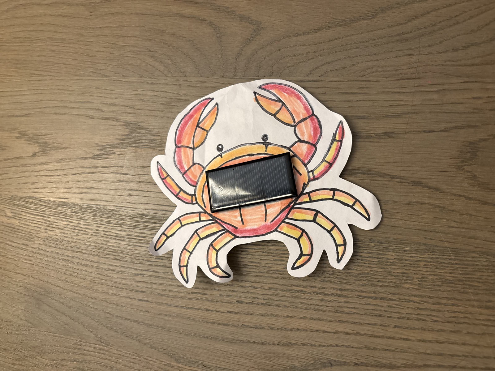 3D in de klas_Zonnebeestjes