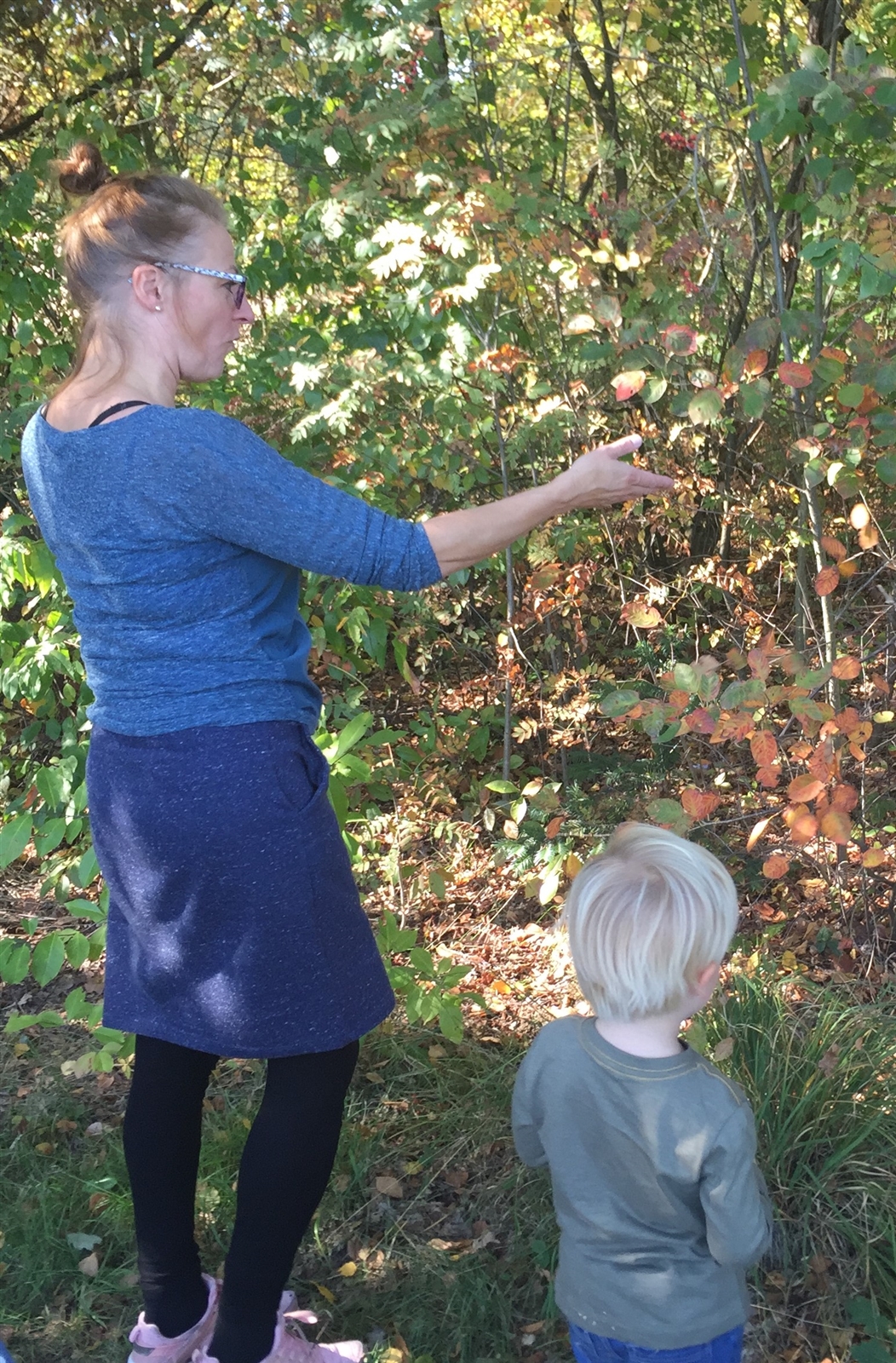 vis in het water theater