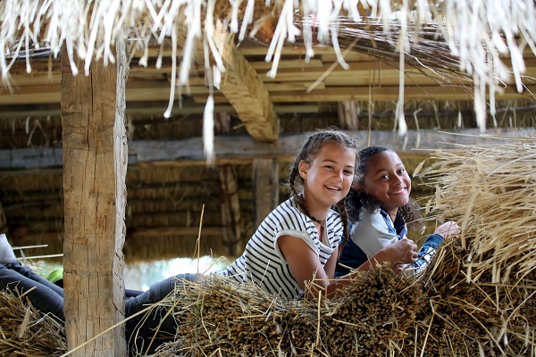 pre historisch museum, educatie