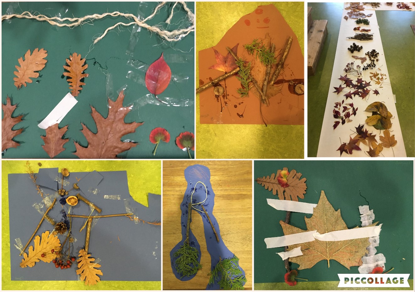 vis in het water theater