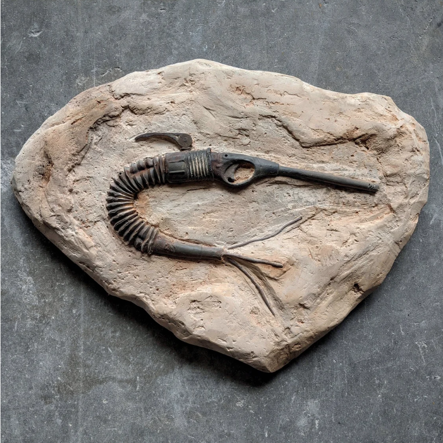 Future fossils