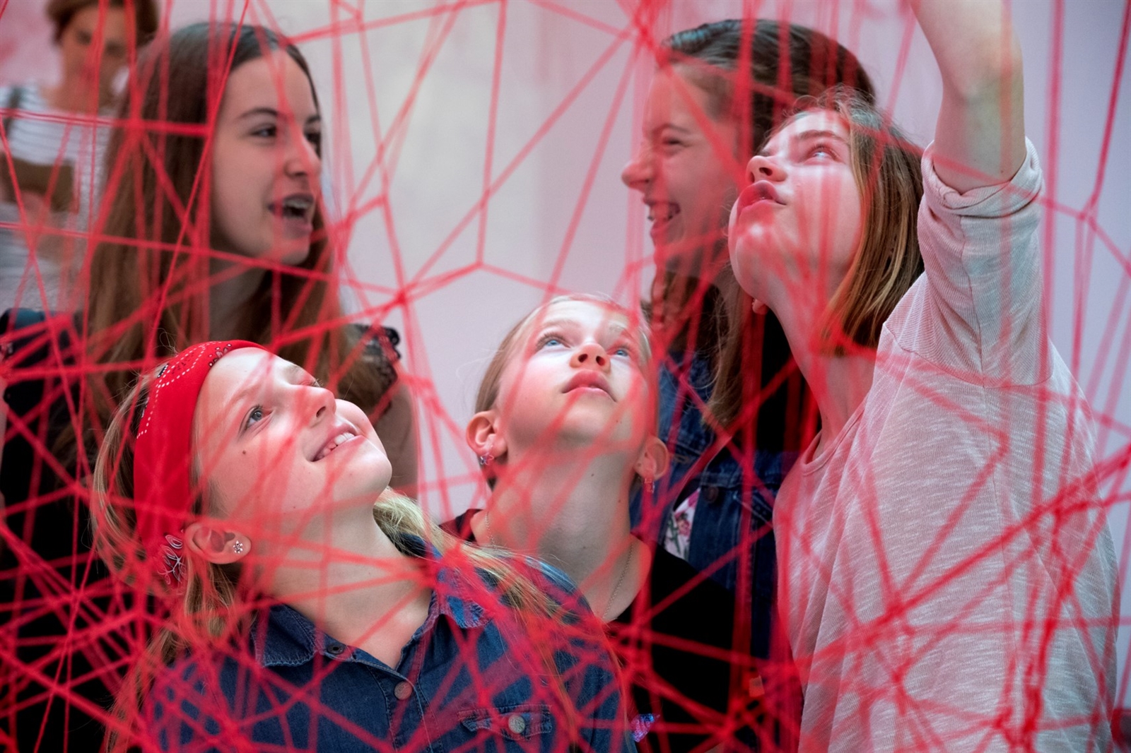 het noordbrabants museum