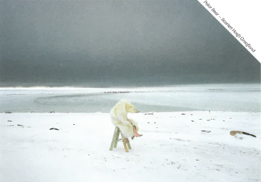 4 x 4 tip van de maand