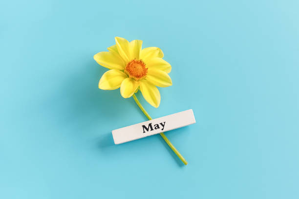 Plaza Cultura Cultuuraanbod voor Sint-Michielsgestel en Vught