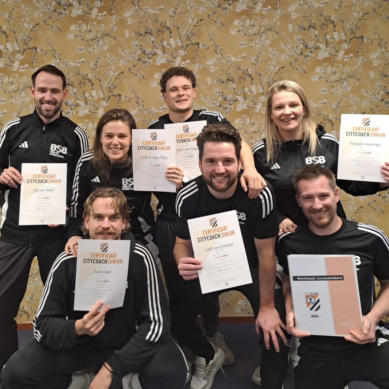 citytrainer BOxtel_BSB