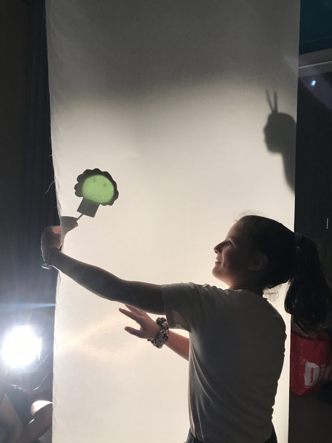 judith abels, schimmenlab