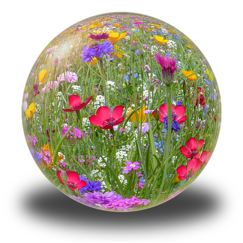 Cultuurbox Cultuuraanbod voor Boxtel