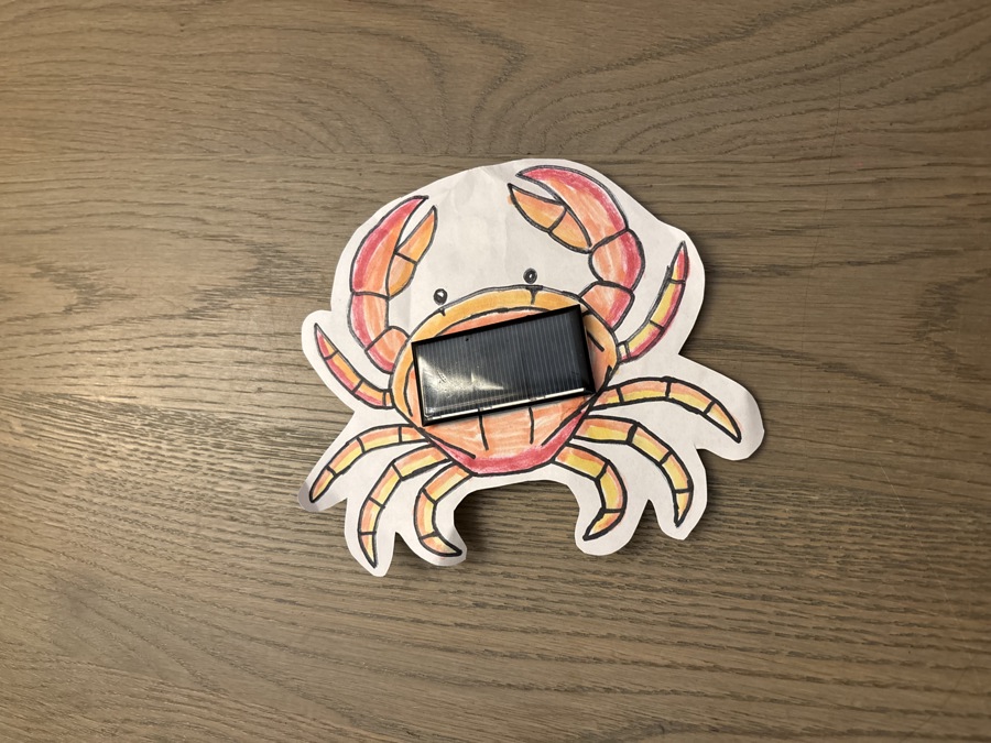 3D in de klas_Zonnebeestjes