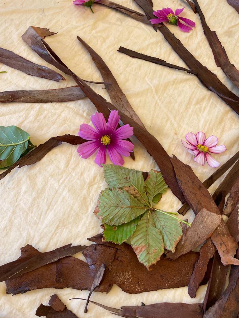 Cultuurbox Cultuuraanbod voor Boxtel