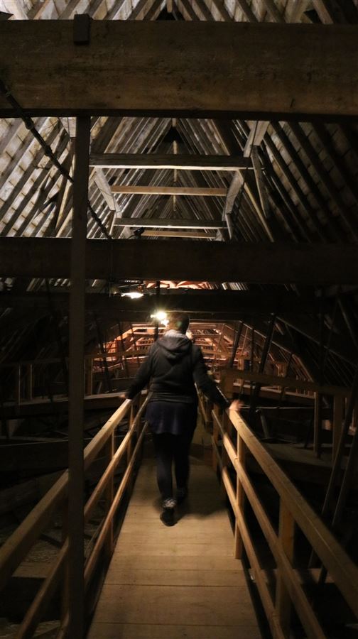 Heilige Huisjes de Molenwijk