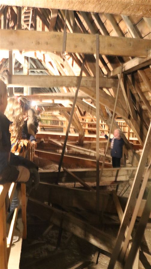 Heilige Huisjes de Molenwijk