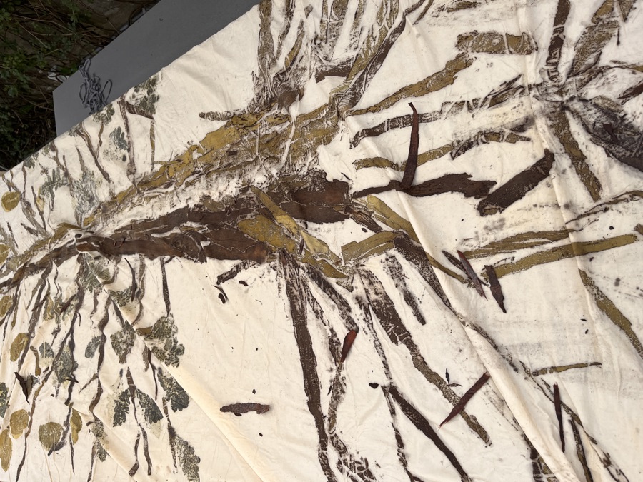 Cultuurbox Cultuuraanbod voor Boxtel