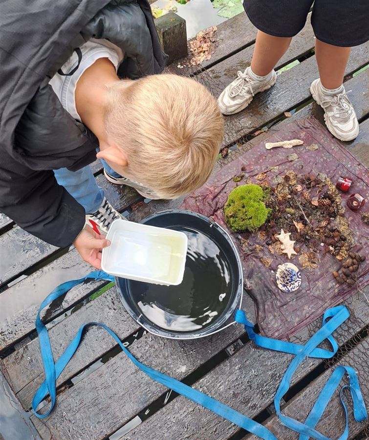 Zomerweek 2026