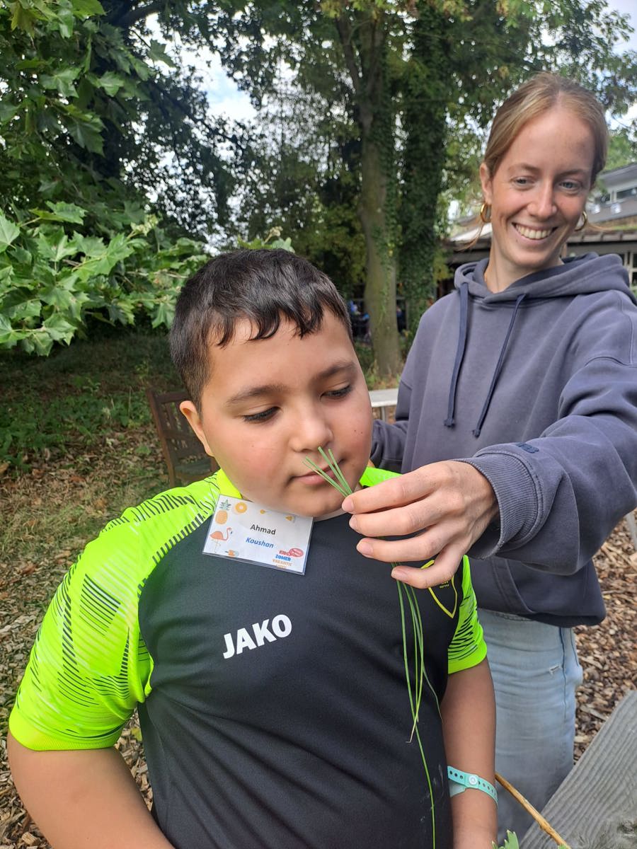 Zomerweek 2026