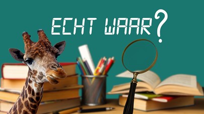 de Schoolschrijver