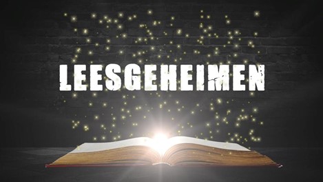 de Schoolschrijver