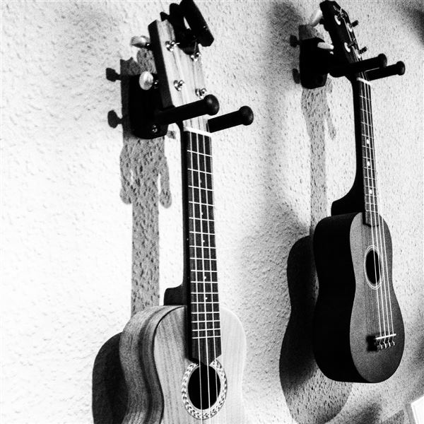 ukelele lenen